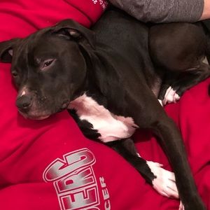 Meet your Posher, Jas